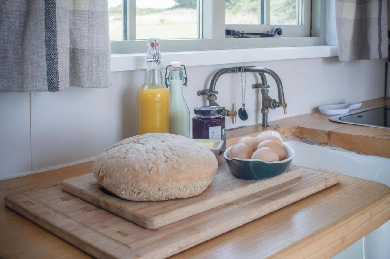 Haven View - 1 Bedroom Shepherds Hut - St Ishmaels Saint Ishmaels  Εξωτερικό φωτογραφία